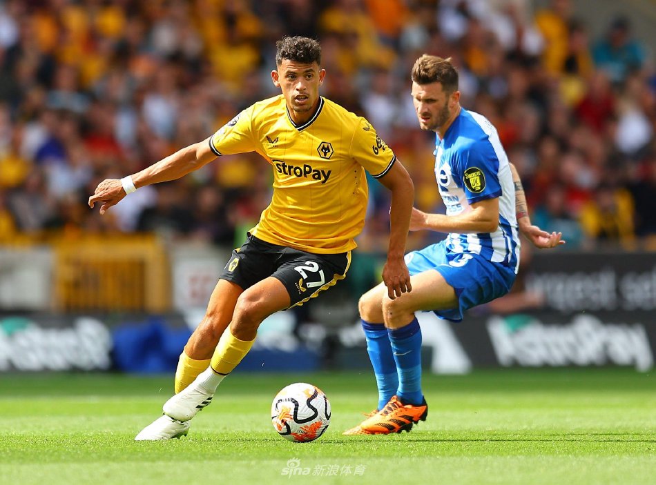 就有望在积 就有望在积